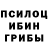 Галлюциногенные грибы Cubensis VAMeKA =3